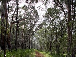Heritage Trail * Margaret River